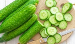 朝陽吃瓜網,揭秘娛樂圈最新熱點，帶你領略明星幕后故事