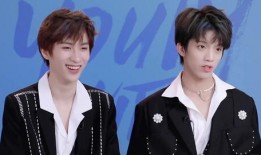 明星黑料ppt,PPT背后的真相與反思