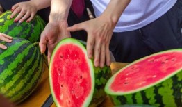 今日吃瓜全集完整版,揭秘娛樂(lè)圈幕后真相，帶你領(lǐng)略明星們的真實(shí)生活