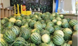 今日吃瓜官網(wǎng),揭秘娛樂(lè)圈最新熱點(diǎn)，帶你暢游八卦海洋