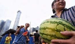 51朝陽吃瓜,揭秘娛樂圈最新吃瓜事件，帶你領(lǐng)略明星幕后故事