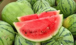 今日吃瓜官網(wǎng),揭秘娛樂(lè)圈最新熱點(diǎn)，帶你暢游八卦海洋