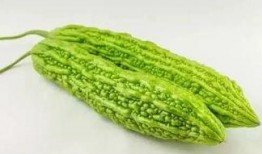 56吃瓜網,揭秘娛樂圈最新熱點，帶你領略明星幕后故事