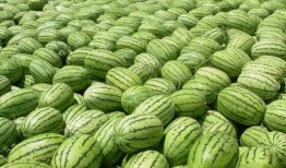 吃瓜真實爆料 網紅大瓜在哪找,大瓜爆料，盡在吃瓜真實爆料