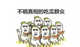 吃瓜群眾,吃瓜群眾眼中的明星生活