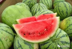 今日吃瓜地址,探尋幕后真相