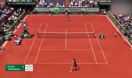 體育圈人,激情燃燒的歲月