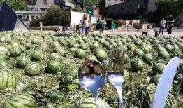 朝陽(yáng)吃瓜群眾,揭秘都市生活百態(tài)