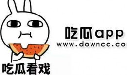 今日吃瓜是哪個(gè)app,探索熱門社交APP的魅力