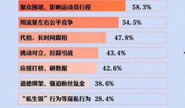 體育圈飯圈化,粉絲經(jīng)濟(jì)下的新現(xiàn)象解析