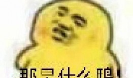 吃瓜表情包,揭秘網絡時代的幽默密碼