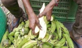 51朝陽(yáng)吃瓜 反差,吃瓜群眾背后的反差魅力