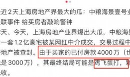 網(wǎng)紅大瓜小說免費閱讀,免費閱讀背后的秘密與誘惑