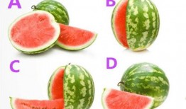 52每日大瓜視頻,揭秘娛樂圈幕后故事，帶你領略明星真實生活