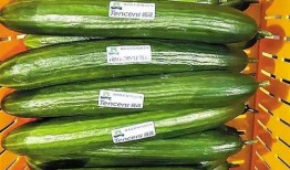 熱門大瓜每日大賽,揭秘娛樂圈最新爆料，大賽精彩瞬間回顧