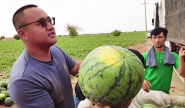 56吃瓜網,揭秘娛樂圈最新熱點，帶你領略明星幕后故事