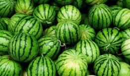 今日吃瓜每日必吃,每日必吃，揭秘娛樂圈新鮮事