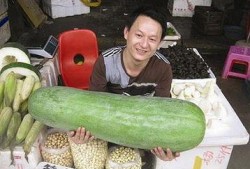 52每日大瓜視頻,揭秘娛樂圈幕后故事，帶你領略明星真實生活