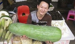 52每日大瓜視頻,揭秘娛樂圈幕后故事，帶你領略明星真實生活